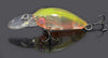 Mini Fat Crank Fishing Lure